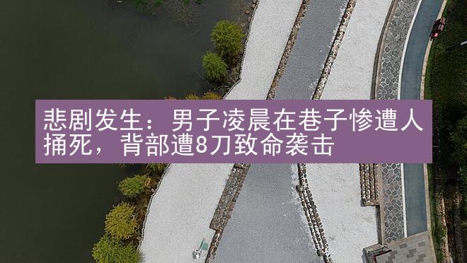 悲剧发生：男子凌晨在巷子惨遭人捅死，背部遭8刀致命袭击