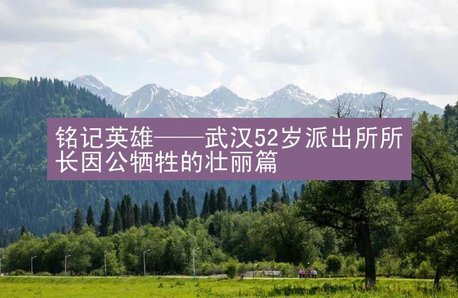 铭记英雄——武汉52岁派出所所长因公牺牲的壮丽篇