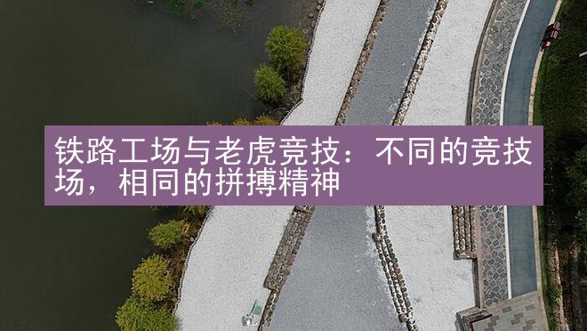 铁路工场与老虎竞技：不同的竞技场，相同的拼搏精神