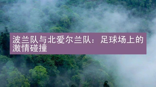 波兰队与北爱尔兰队：足球场上的激情碰撞