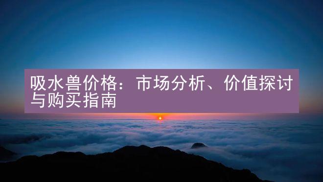 吸水兽价格：市场分析、价值探讨与购买指南