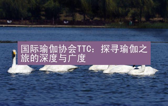 国际瑜伽协会TTC：探寻瑜伽之旅的深度与广度