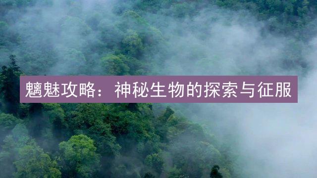 魑魅攻略：神秘生物的探索与征服