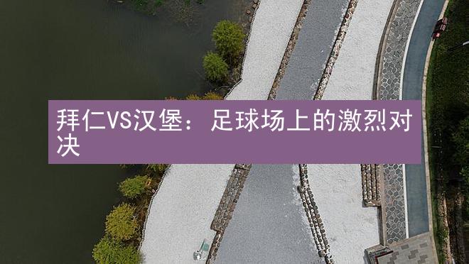 拜仁VS汉堡：足球场上的激烈对决