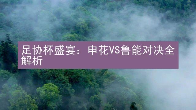 足协杯盛宴：申花VS鲁能对决全解析