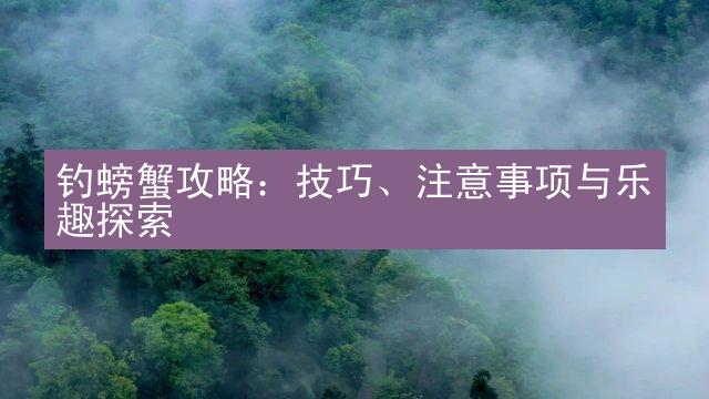 钓螃蟹攻略：技巧、注意事项与乐趣探索