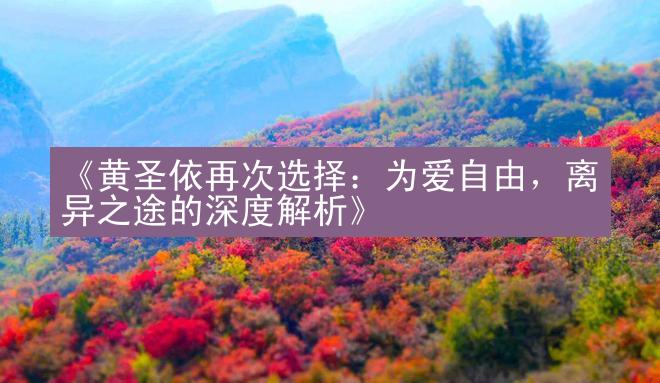 《黄圣依再次选择：为爱自由，离异之途的深度解析》