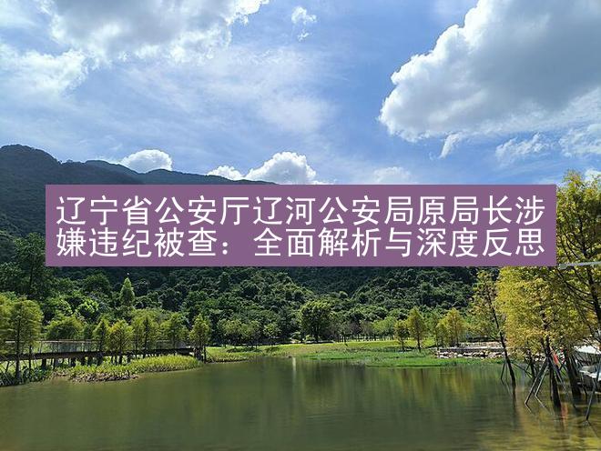 辽宁省公安厅辽河公安局原局长涉嫌违纪被查：全面解析与深度反思