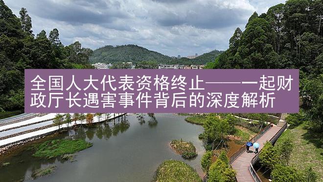 全国人大代表资格终止——一起财政厅长遇害事件背后的深度解析