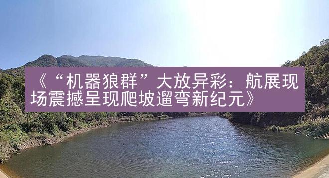 《“机器狼群”大放异彩：航展现场震撼呈现爬坡遛弯新纪元》