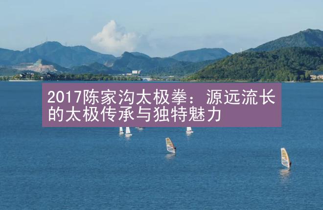 2017陈家沟太极拳：源远流长的太极传承与独特魅力