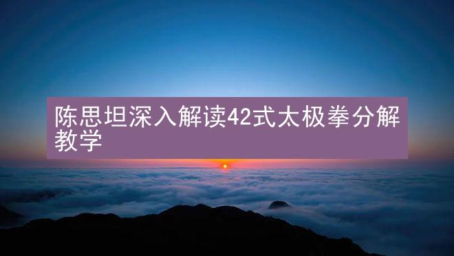 陈思坦深入解读42式太极拳分解教学