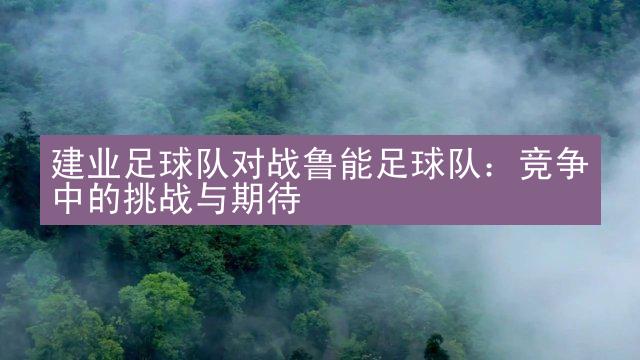 建业足球队对战鲁能足球队：竞争中的挑战与期待