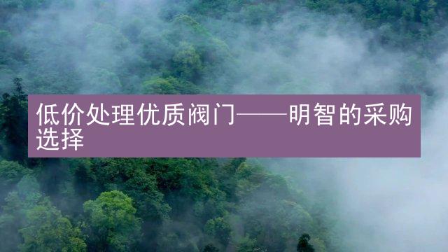 低价处理优质阀门——明智的采购选择