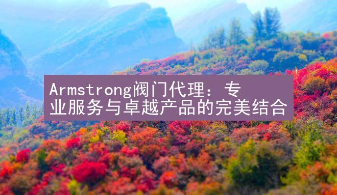 Armstrong阀门代理：专业服务与卓越产品的完美结合