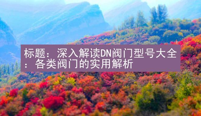 标题：深入解读DN阀门型号大全：各类阀门的实用解析