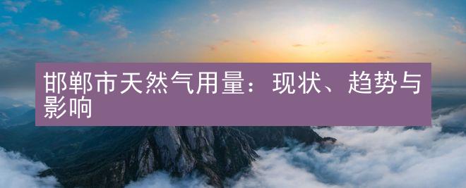 邯郸市天然气用量：现状、趋势与影响