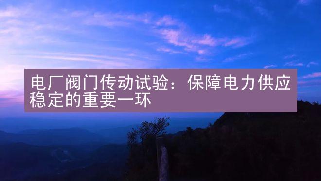 电厂阀门传动试验：保障电力供应稳定的重要一环