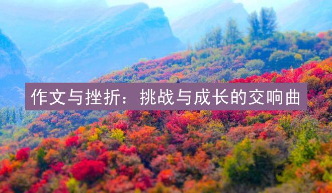 作文与挫折：挑战与成长的交响曲