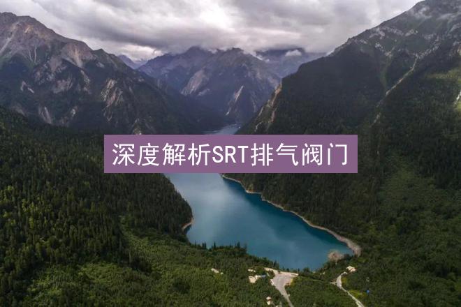 深度解析SRT排气阀门