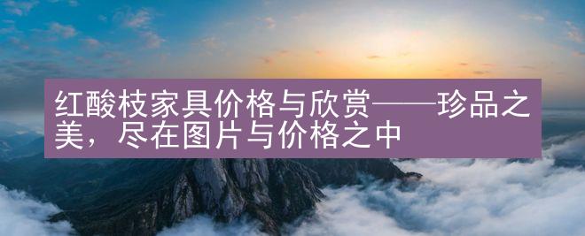 红酸枝家具价格与欣赏——珍品之美，尽在图片与价格之中