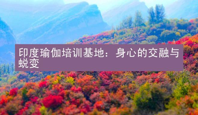 印度瑜伽培训基地：身心的交融与蜕变