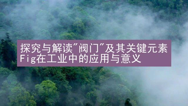 探究与解读"阀门"及其关键元素Fig在工业中的应用与意义