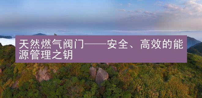 天然燃气阀门——安全、高效的能源管理之钥